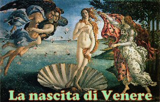 venere